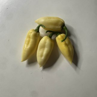 Fatalii White - chilifrön
