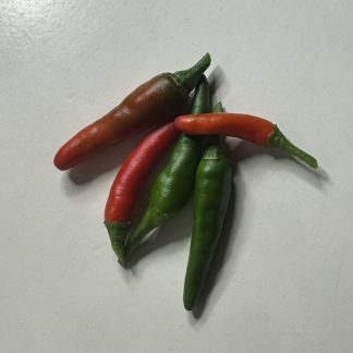 African Bird's Eye Chili - chilifrön